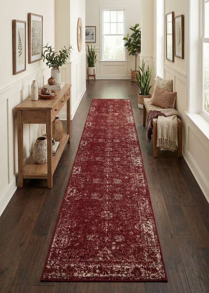 3' 3 x 19' 8 Monaco Runner Rug