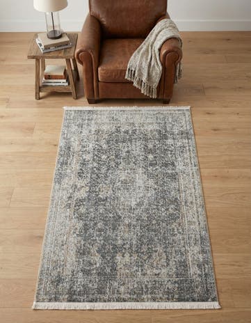 3' x 5' Santiago Rug