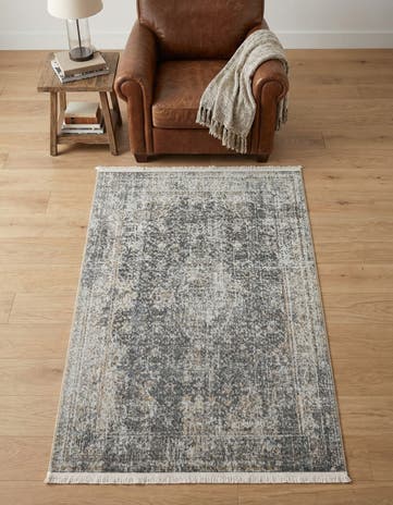 3' x 5' Santiago Rug