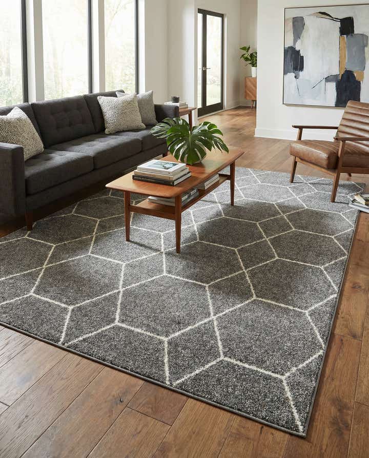 7' 10 x 11' Lattice Frieze Rug
