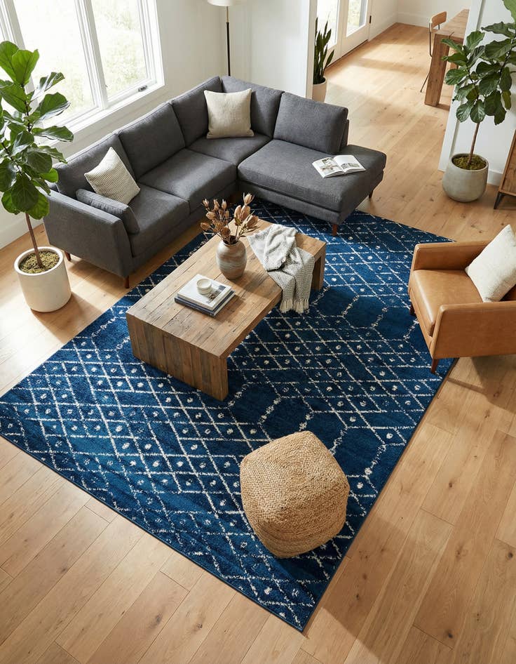 Detail image of 9' x 12' Paxon Trellis Rug