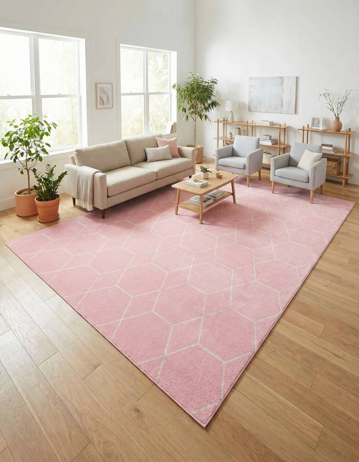 Detail image of 10' x 14' Lattice Frieze Rug