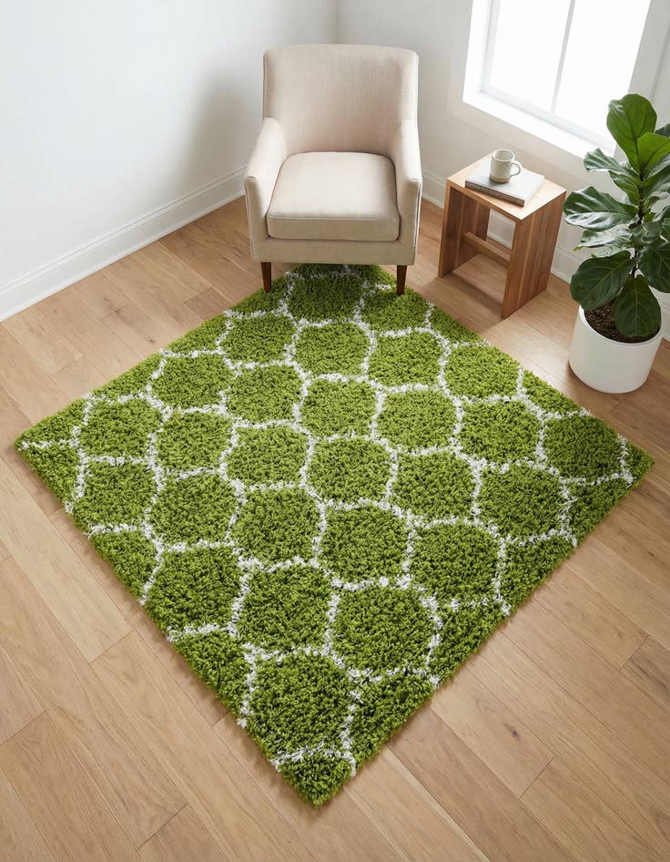 Detail image of 4' x 4' Trellis Shag Square Rug