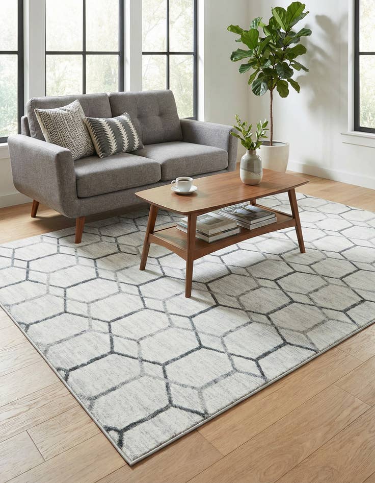 Detail image of 6' x 9' Lattice Trellis Rug