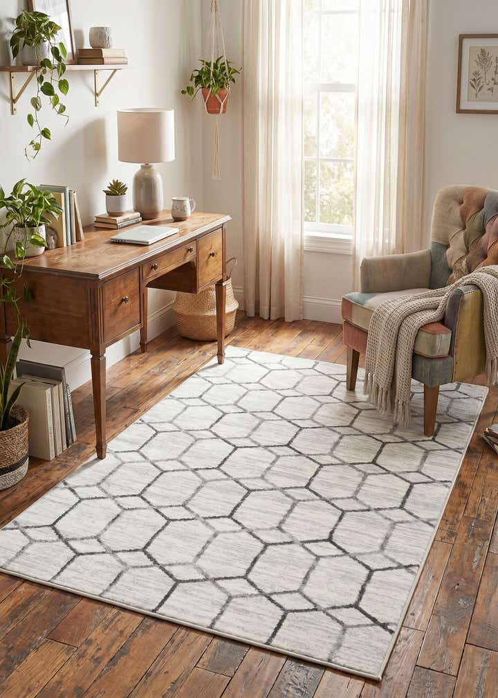 3' 3 x 5' 3 Lattice Trellis Rug