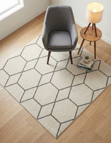 5' 3 x 5' 3 Lattice Frieze Square Rug