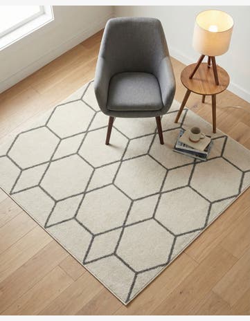 5' 3 x 5' 3 Lattice Frieze Square Rug