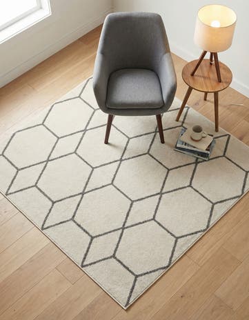 5' 3 x 5' 3 Lattice Frieze Square Rug