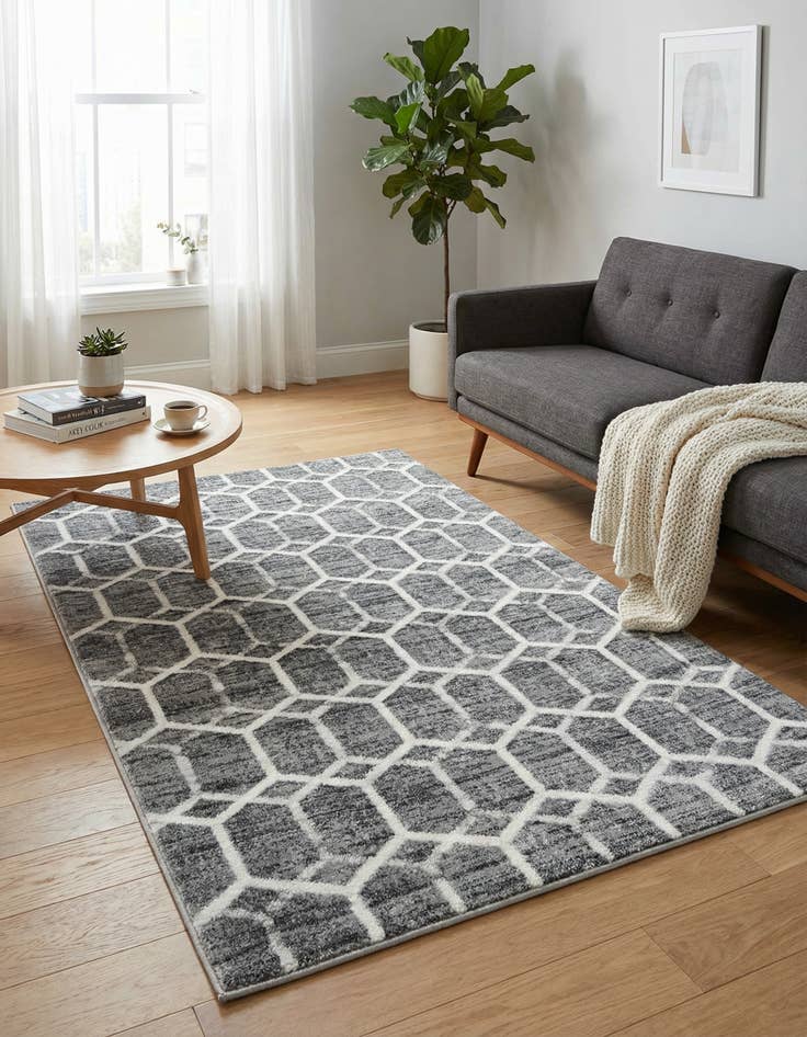 Detail image of 4' x 6' Lattice Trellis Rug