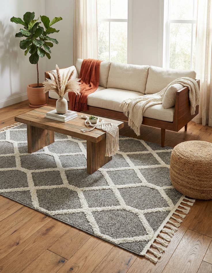 Detail image of 4' x 6' Boho Rug