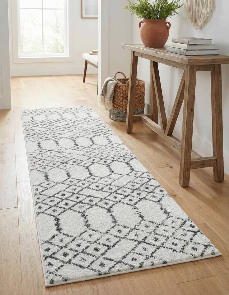Detail image of 2' x 8' Paxon Trellis Runner Rug