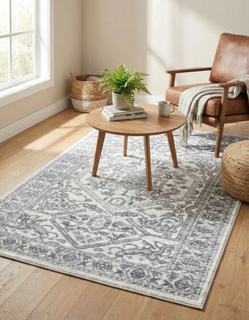 3' 3 x 5' 3 Boston Rug