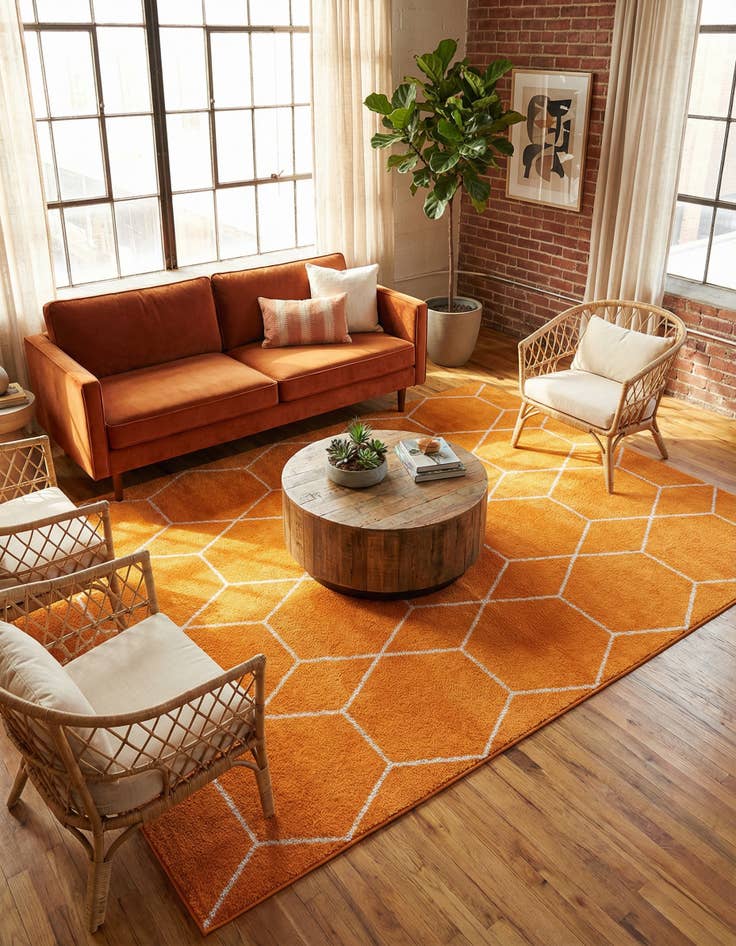 Detail image of 7' x 10' Trellis Frieze Rug