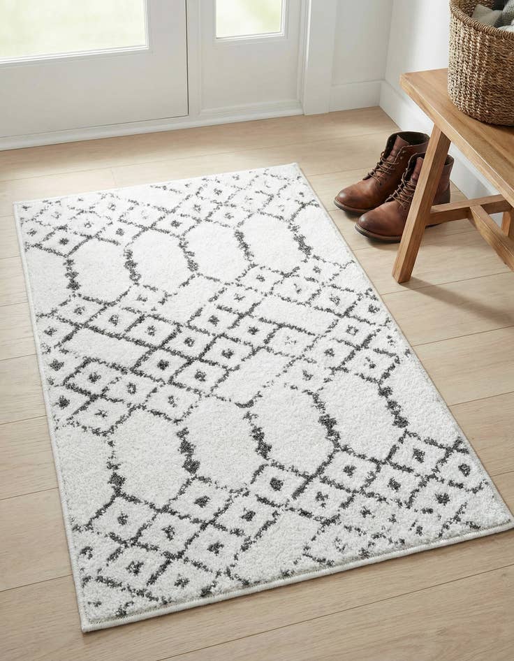 Detail image of 2' x 3' Paxon Trellis Rug