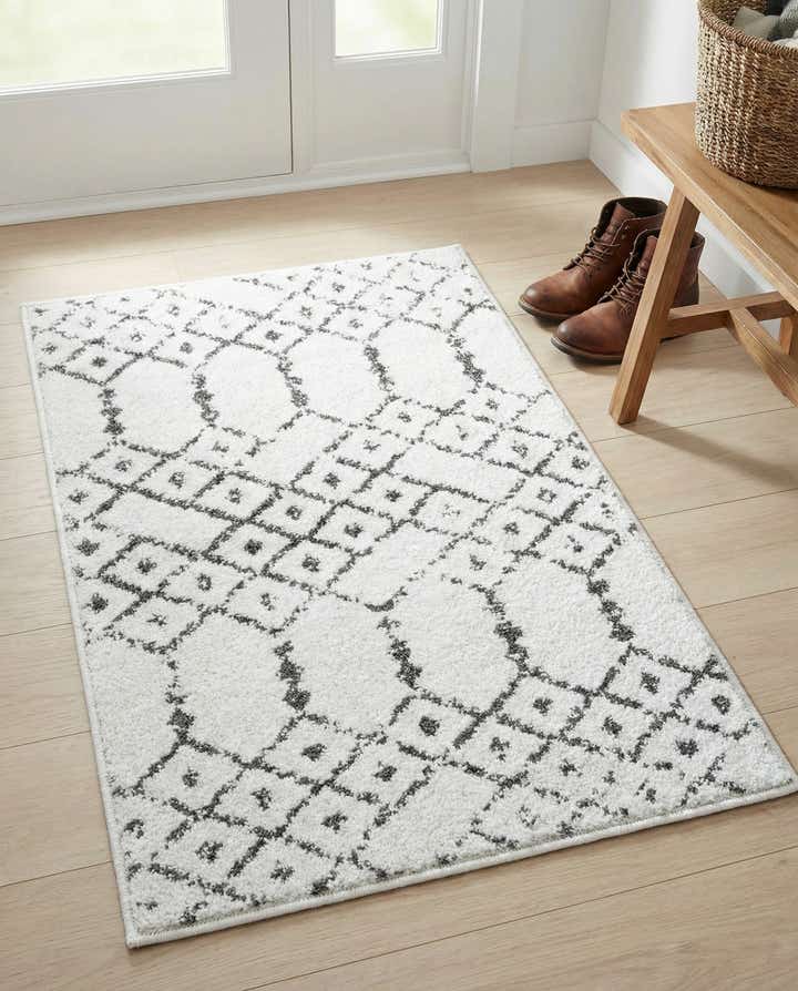 2' x 3' Paxon Trellis Rug