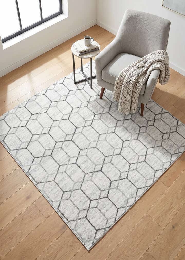 5' 3 x 5' 3 Lattice Trellis Square Rug