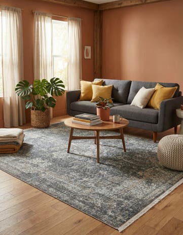 5' 5 x 8' Santiago Rug