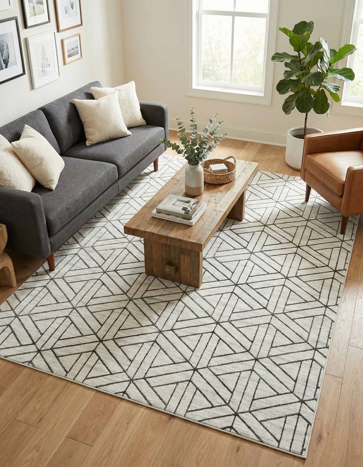 Detail image of  7' 10 x 11' Lattice Trellis Rug