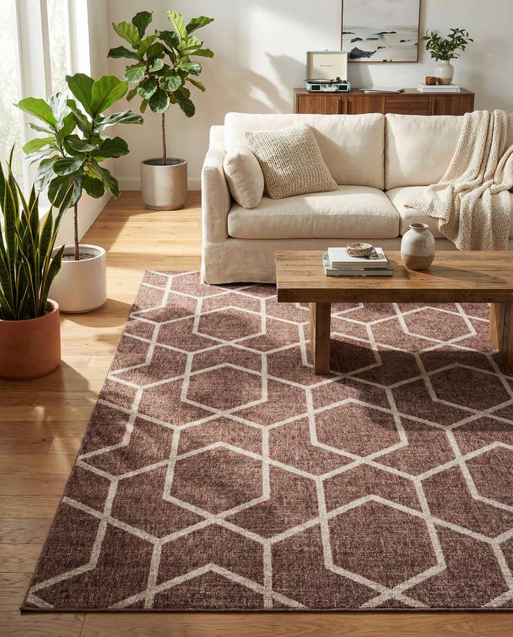 Detail image of 7' 10 x 10' Eco Trellis Rug