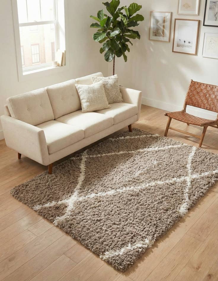 Detail image of 4' x 6' Infinity Shag Rug