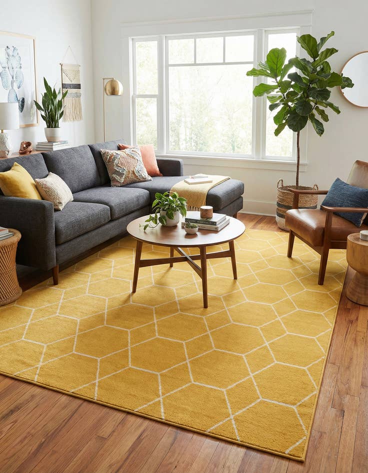 Detail image of 7' 10 x 11' Trellis Frieze Rug