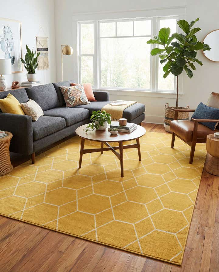 7' 10 x 11' Lattice Frieze Rug