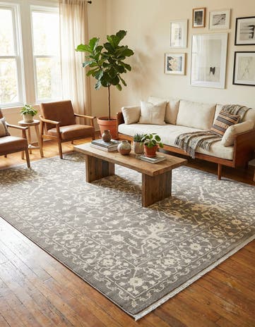 8' x 10' Modern Classical Rug