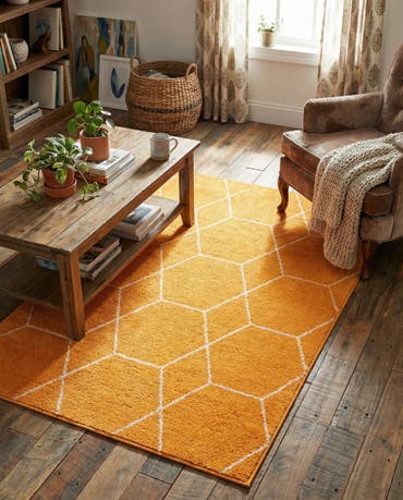  3' x 5' 3 Lattice Frieze Rug