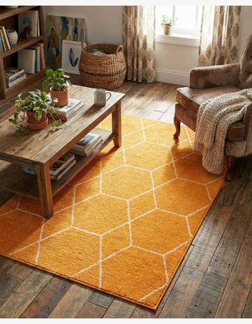 Orange Trellis Frieze Rug