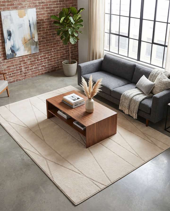 5' x 8' Contour Rug