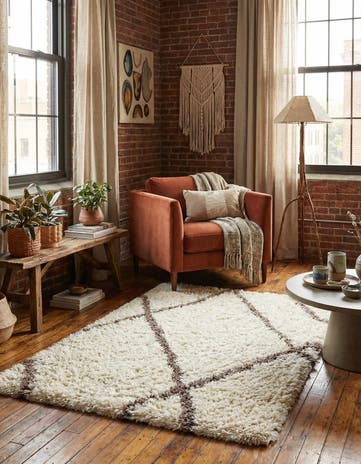 4' x 6' Infinity Shag Rug