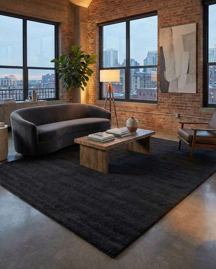 10' x 13' Solid Frieze Rug