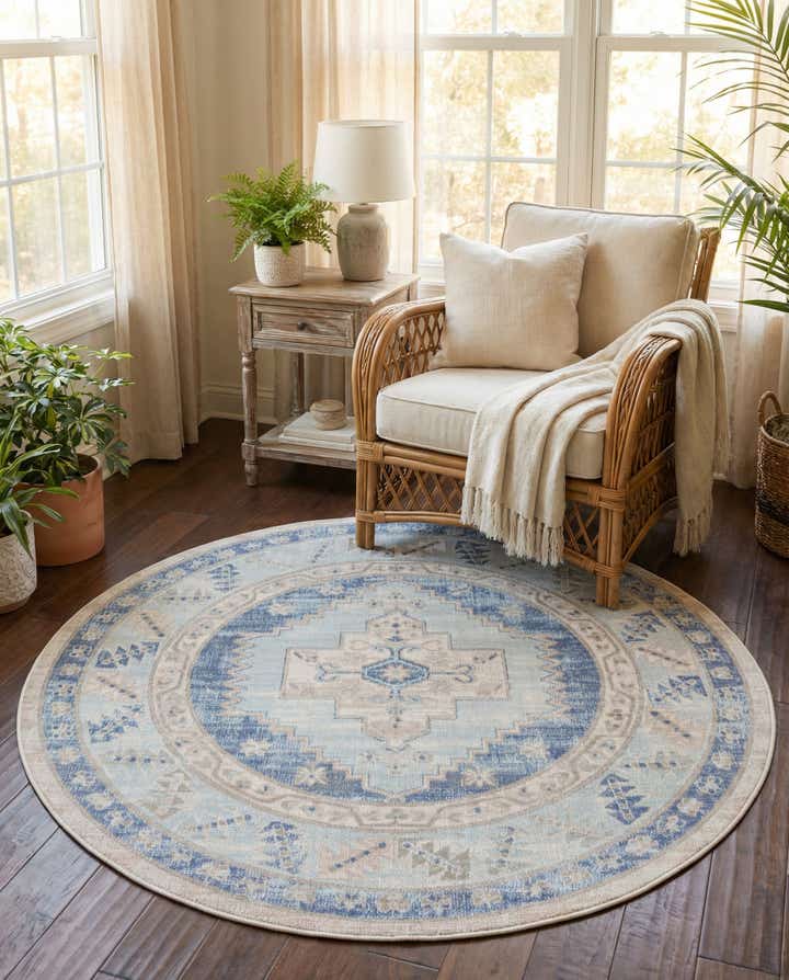 4' 1 x 4' 1 Whitney Round Rug