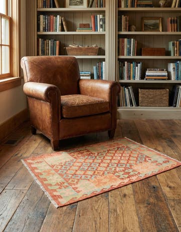 2' 9 x 4' 4 Hand Woven Kilim Waziri Wool Rug