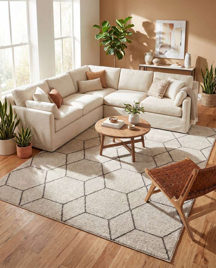 10' x 13' Lattice Frieze Rug