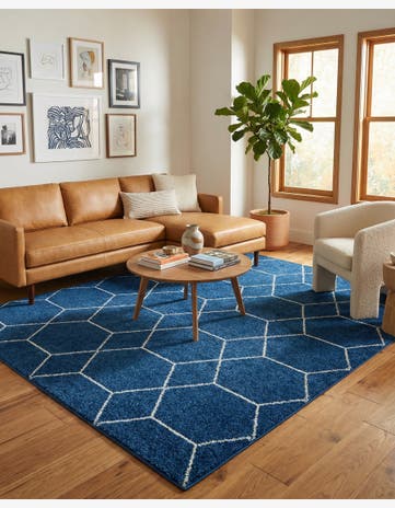 7' 10 x 10' Trellis Frieze Rug