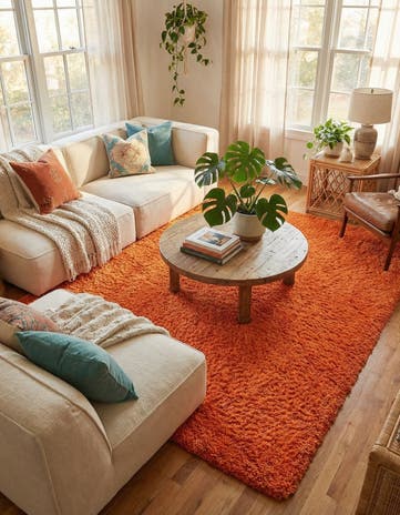 9' x 12' Solid Shag Rug