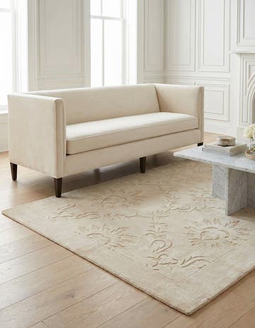 3' 11 x 5' 9 Darya Rug