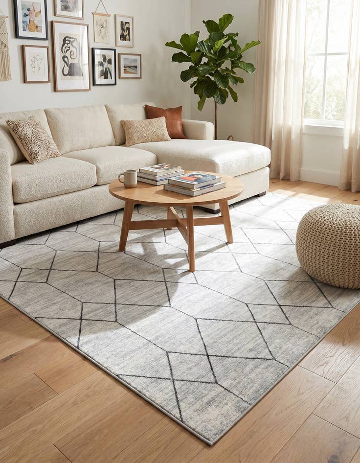 Detail image of 8' x 10' Lattice Trellis Rug