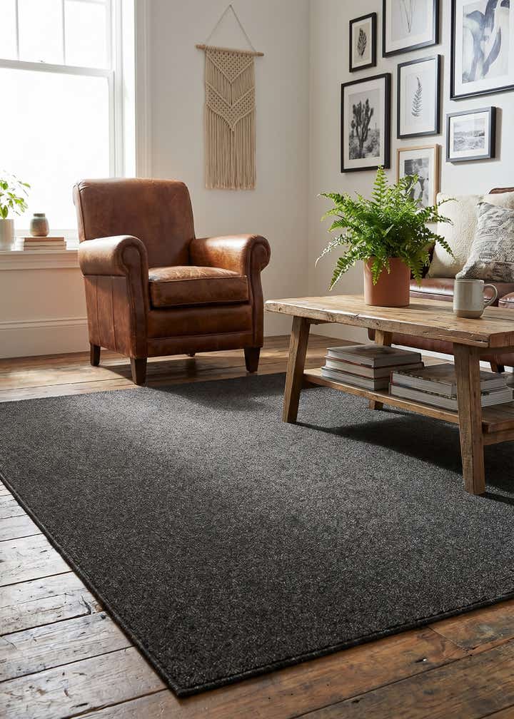 4' x 6' Everyday Solid Rug