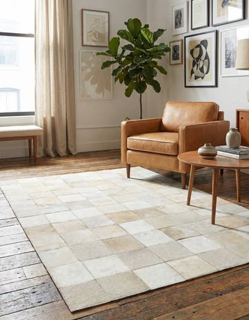 4' x 5' 10 Cowhide Stocks Rug