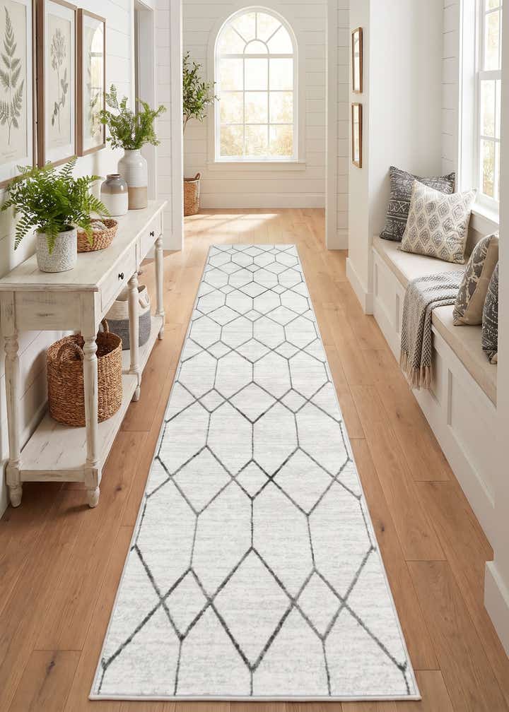 3' x 19' 8 Lattice Trellis Runner Rug