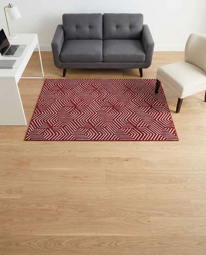 4' x 6' Aakaar Rug
