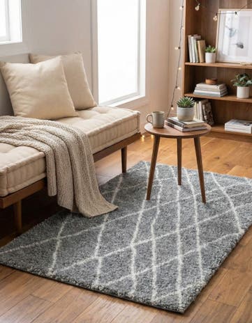 3' 3 x 5' 3 Soft Touch Shag Rug