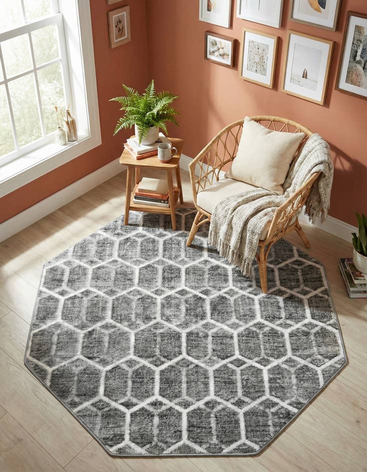 Detail image of 5' 3 x 5' 3 Lattice Trellis Octagon Rug
