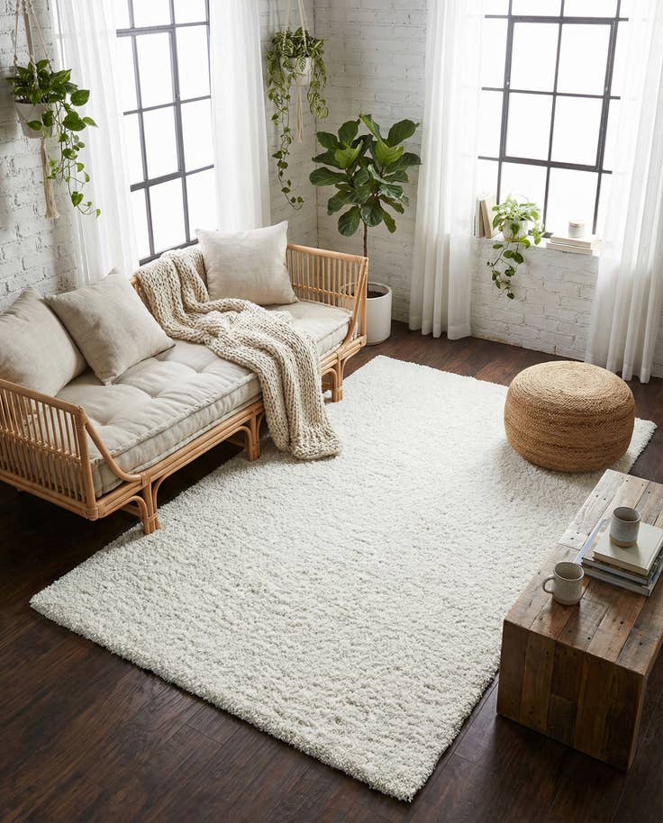 Detail image of 5' 3 x 8' Zermatt Shag Rug