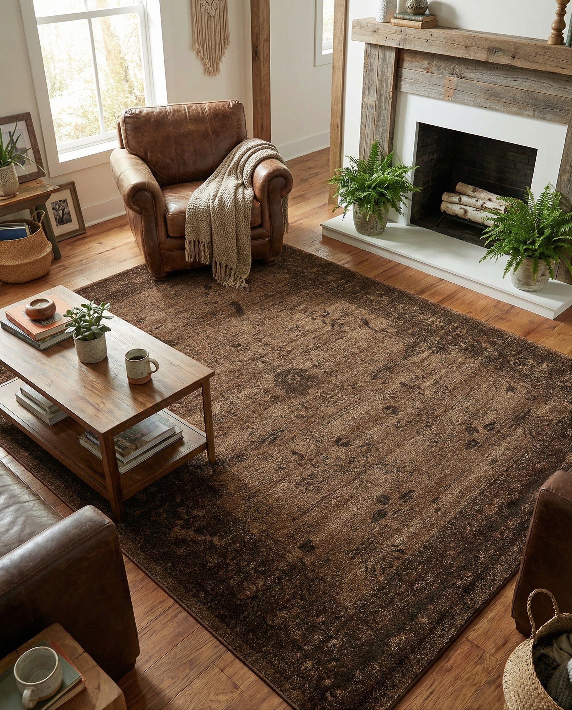 Brown 6' x 9' Miranda Rug | Rugs.com