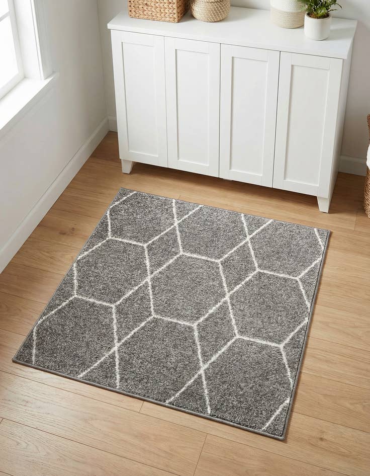 Detail image of 3' x 3' Trellis Frieze Square Rug