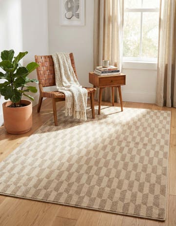 5' x 8' Contour Rug