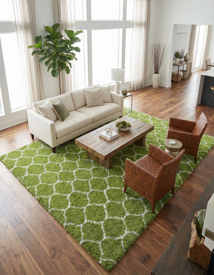 Detail image of 10' 8 x 14' Trellis Shag Rug